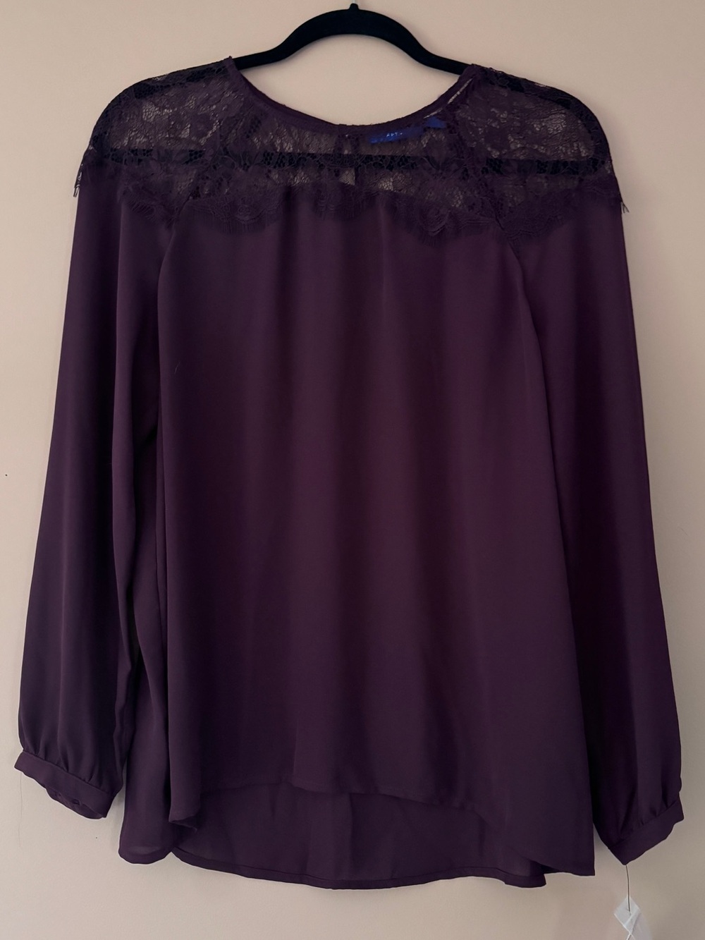 Plum Lace Yoke Long-Sleeve Blouse
